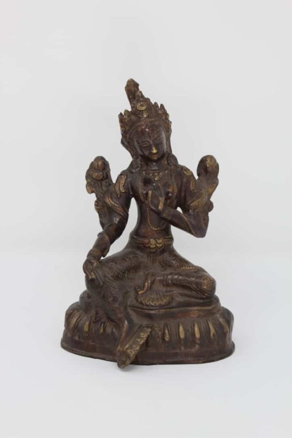 Tara 1