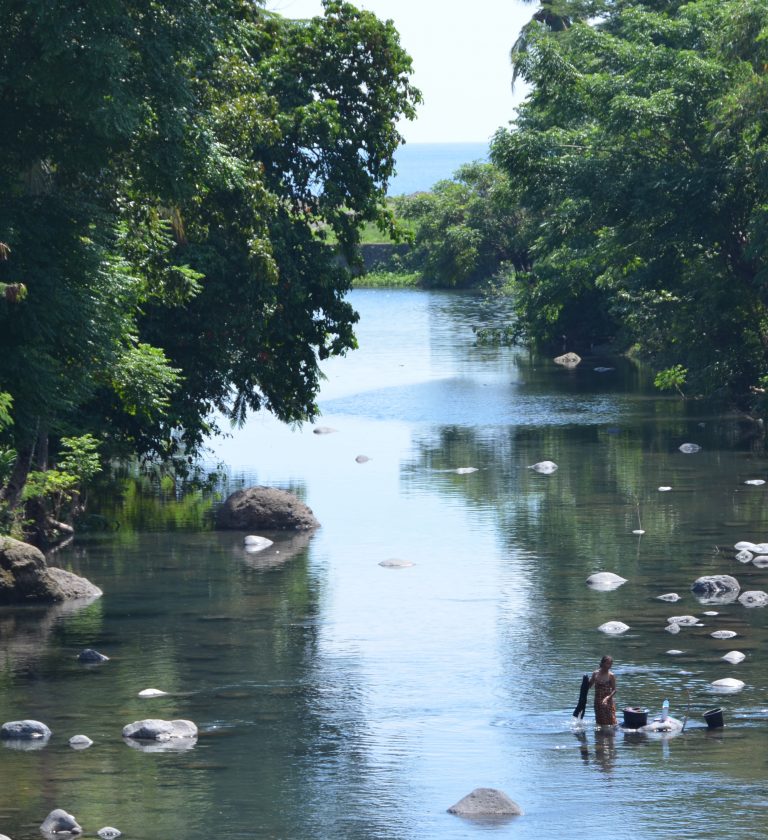 Still river lined with trees, bathers on the far rocks