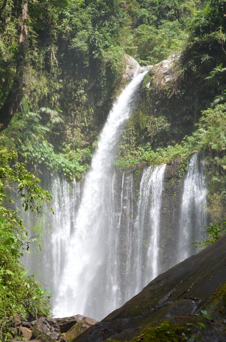 Twin waterfalls pouring through a rainforest gorge