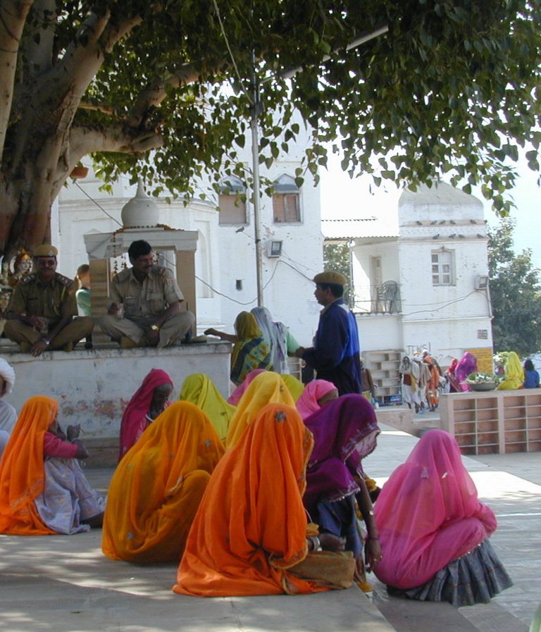 Women in saffron and rose gathered in the shade of a courtyard tree